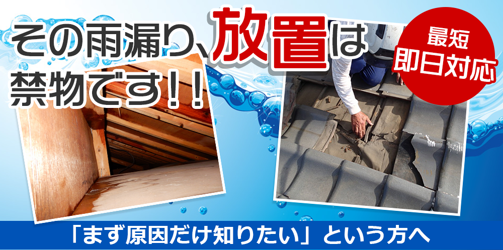 外壁塗装・屋根塗装専門店きらきらペイントのこだわり雨漏り診断 雨漏り診断のプロフェッショナルが診断します！ 家はなぜ雨漏りが多いのか